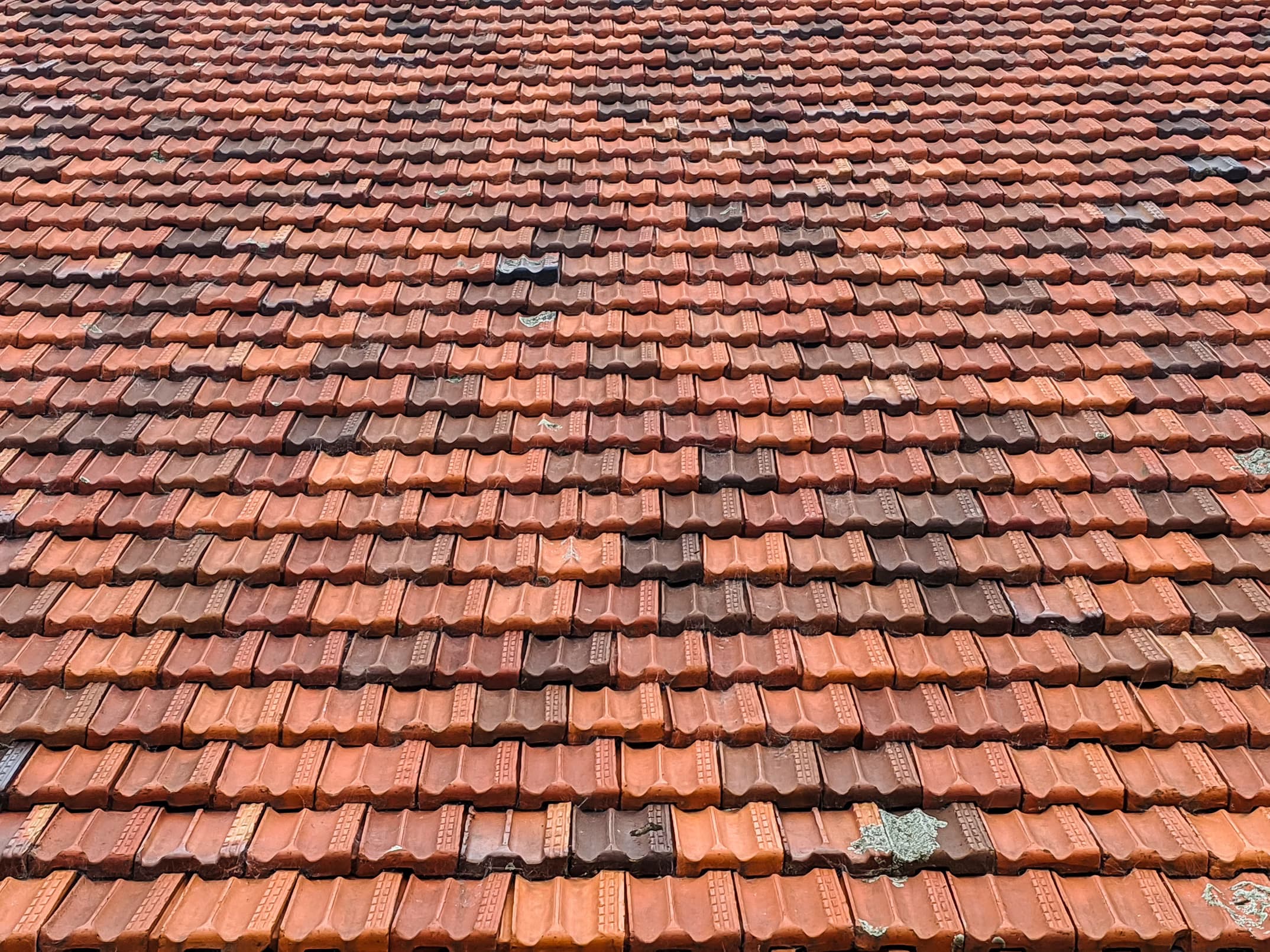 Roof Wash
