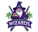 Palm Beach Wizards Logo